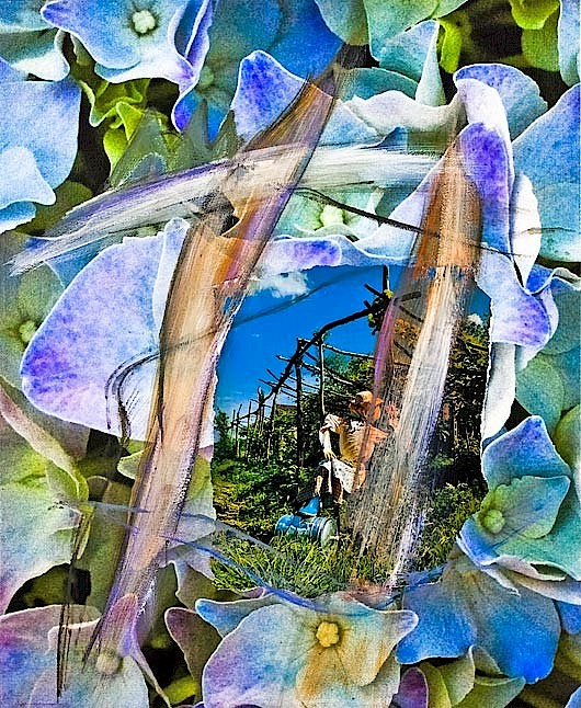 סיפורי אגדות | דניאלה פז-אורה